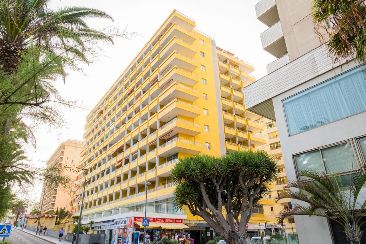 Live Puerto De La Cruz Las Palmeras Zewnętrze zdjęcie