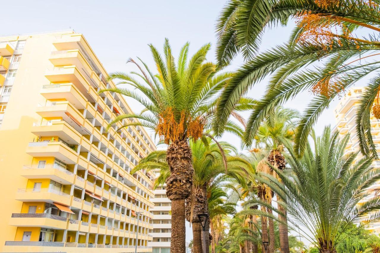 Live Puerto De La Cruz Las Palmeras Zewnętrze zdjęcie
