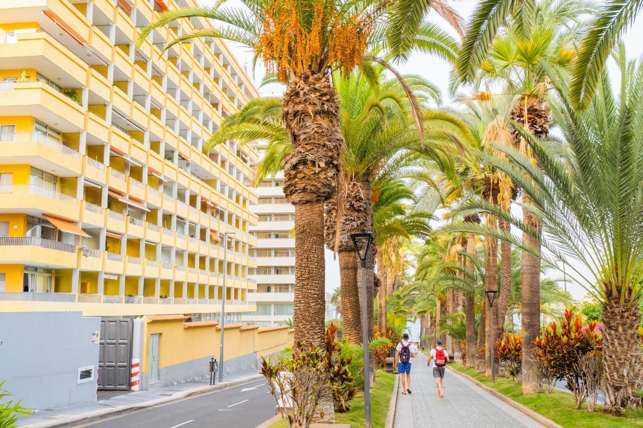 Live Puerto De La Cruz Las Palmeras Zewnętrze zdjęcie